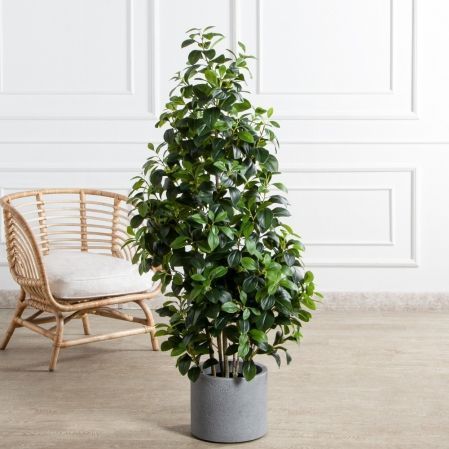 150/ДК/707(Пр)(F) Рускус искусственный куст h150см