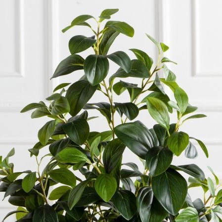 150/ДК/707(Пр)(F) Рускус искусственный куст h150см