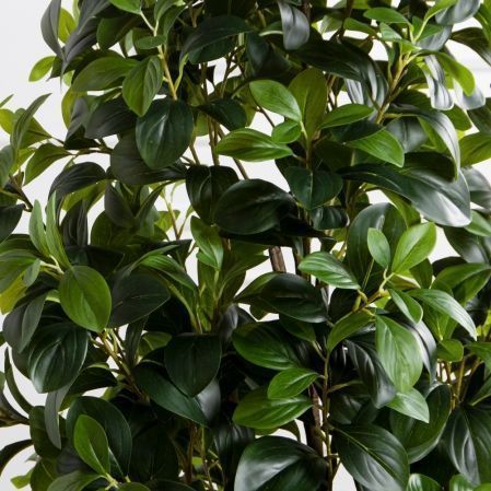 150/ДК/707(Пр)(F) Рускус искусственный куст h150см