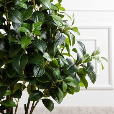 150/ДК/707(Пр)(F) Рускус искусственный куст h150см