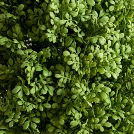 110/ДК/708(Пр)(F) Дерево искусственное декоративное конус h110см