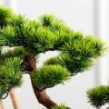 БС060/ОС/30(FixS)(Пр)(F) Бонсай искусственный сосна h60см