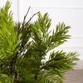090/К/5122(Пр)(F)Погонатерум искусственный куст h90см,натурально-зеленый 090/К/5122(Пр)(F)Погонатерум искусственный куст h90см,натурально-зеленый