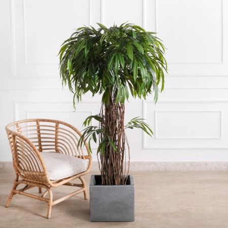 150/ССТК/ВИТ/РН/219(Пр)(F) Лонгифолия искусственная h150см