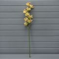  
401/0566А Орхидея сатиновая: зеленый