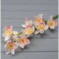  
401/0566А Орхидея сатиновая: бело-розовый