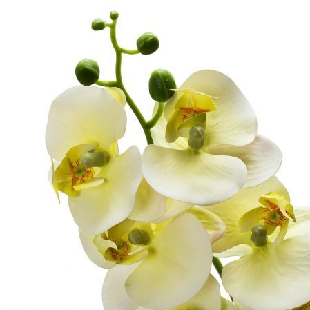 401/0186B Орхидея латекс h 98см (9г.) белая с зеленым