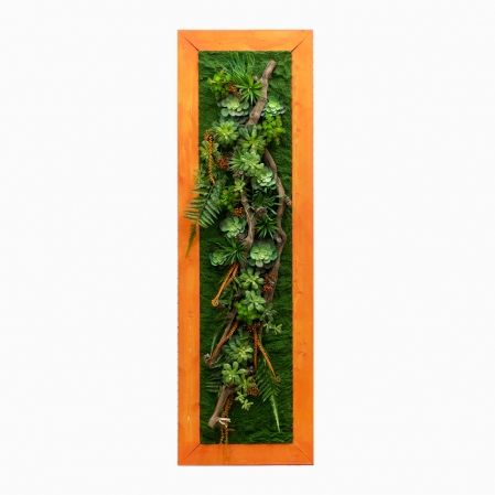 СКФ06/2(з.) Фитокартина с папор.и суккулент.(50х200см) в оранж.раме