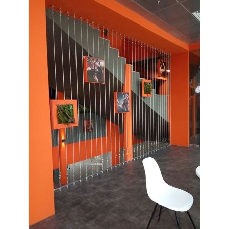 СКФ06/1(з.) Фитокартина с папор.и суккулент.(50х50см) в оранж.раме