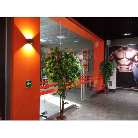 СКФ06/2(з.) Фитокартина с папор.и суккулент.(50х200см) в оранж.раме