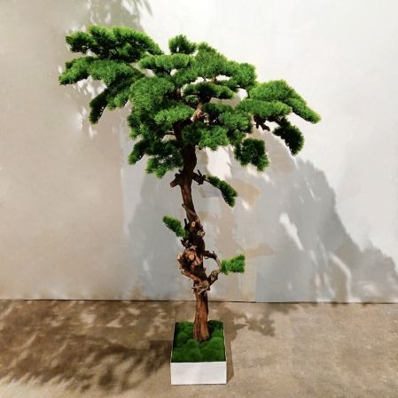 БС150/ОС/30-8(з)(Пр) Бонсай искусственный Сосна h150см в деревянном ящике 25х25х12см