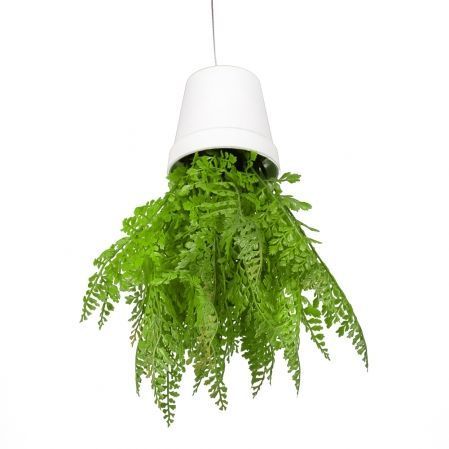 СП06-1 Sky Planter Адиантум папоротник искусственный h20 в кашпо (11*10см)
