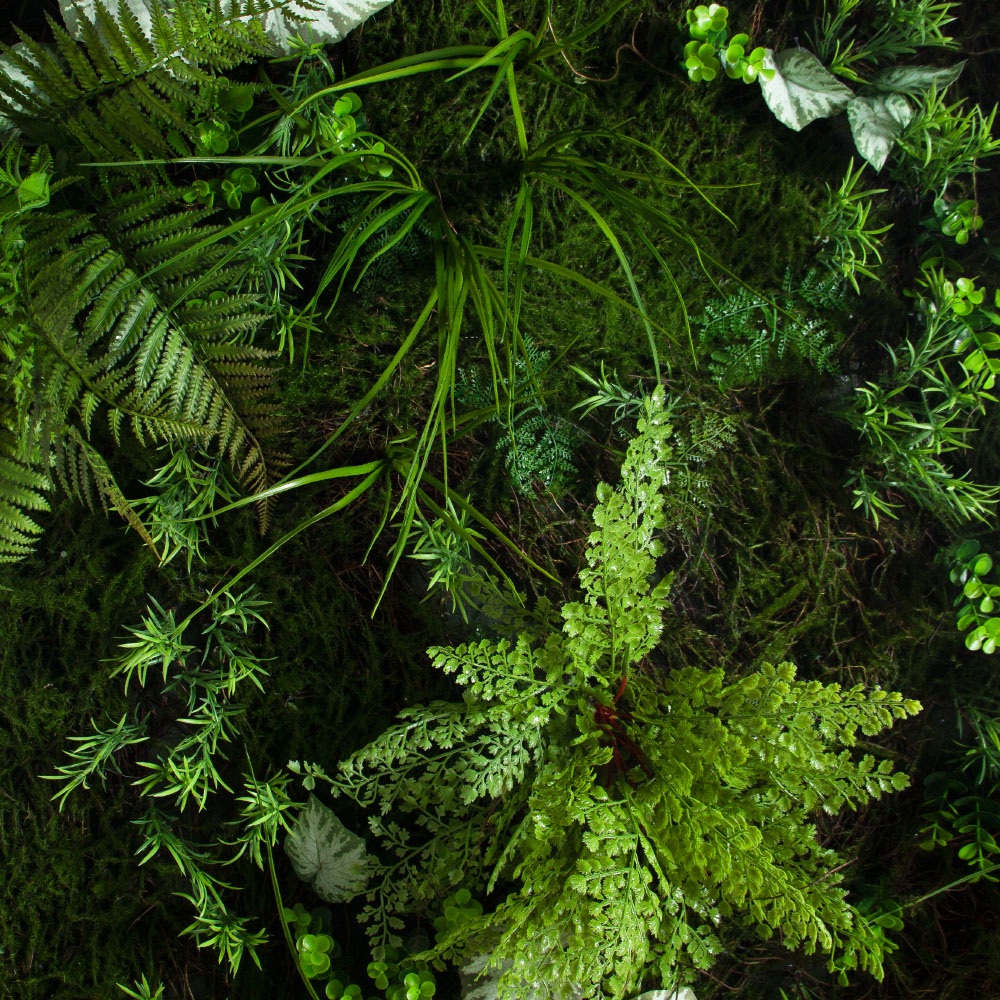 ФТС209(Пр)(F) Фитостена,  за 1кв.м_6