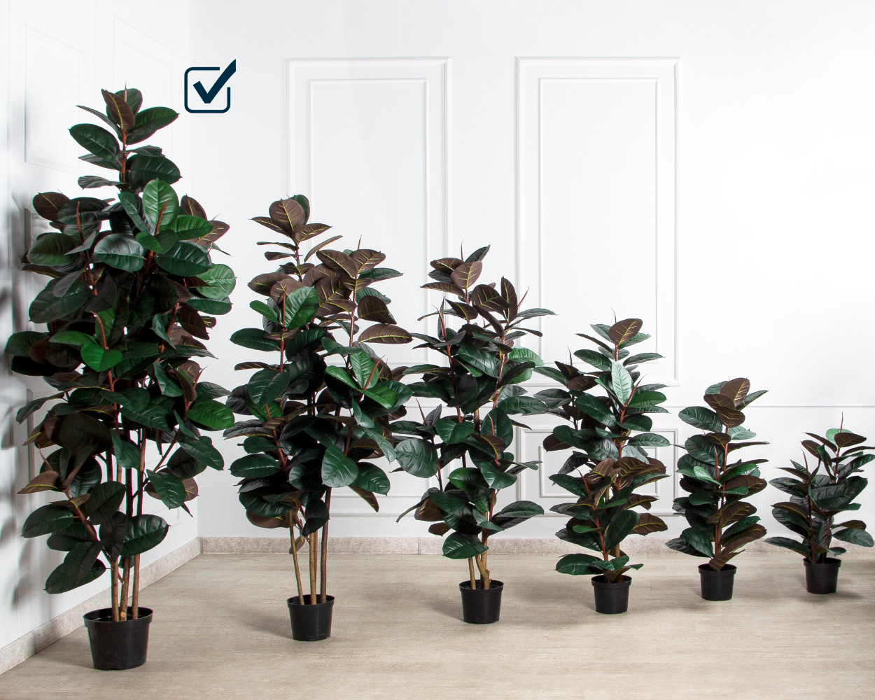 250/УК/РН/186(Пр)(F) Фикус Эластика Робуста искусственный h250см,латекс_9