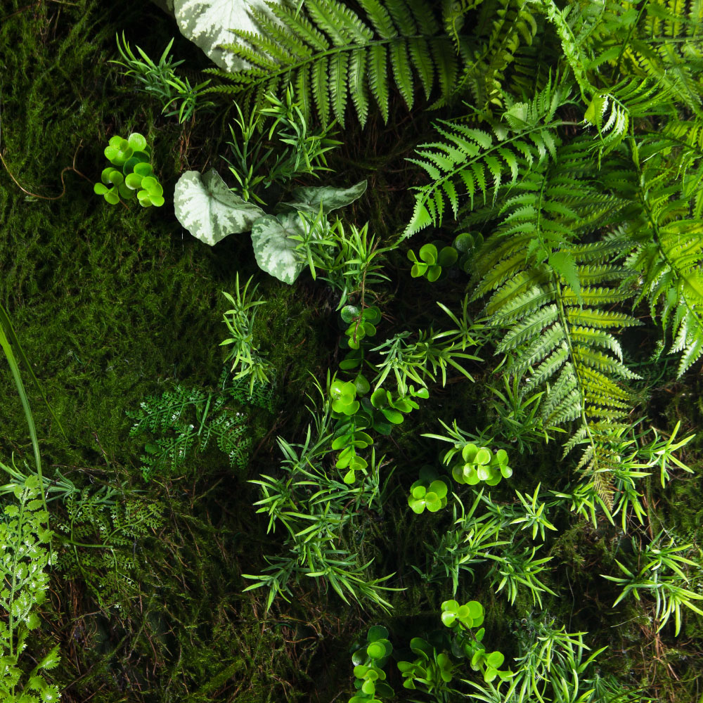 ФТС209(Пр)(F) Фитостена,  за 1кв.м_5