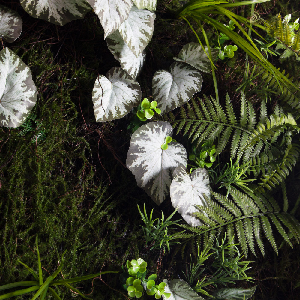 ФТС209(Пр)(F) Фитостена,  за 1кв.м_7