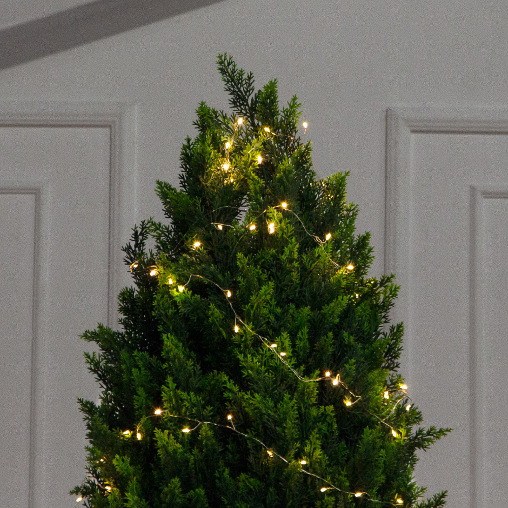 Т280/СВ03/1460(Пр)(F) Туя искусственная конус  h280см_3