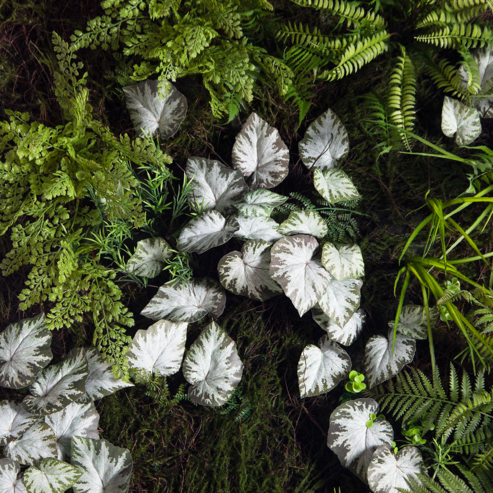 ФТС209(Пр)(F) Фитостена,  за 1кв.м_4