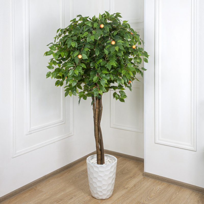 180/РН/35 Яблоня h180см(латекс)_3