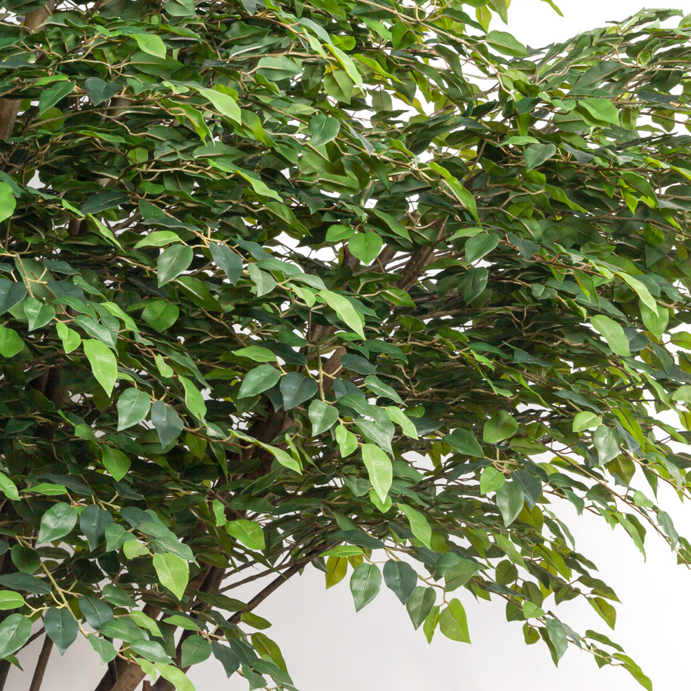 250/РН/344(Пр)(F) Фикус искусственный h250см на основании_1