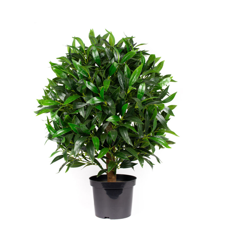 100/Ш/188-1 Лавр куст, h100см(латекс)_1