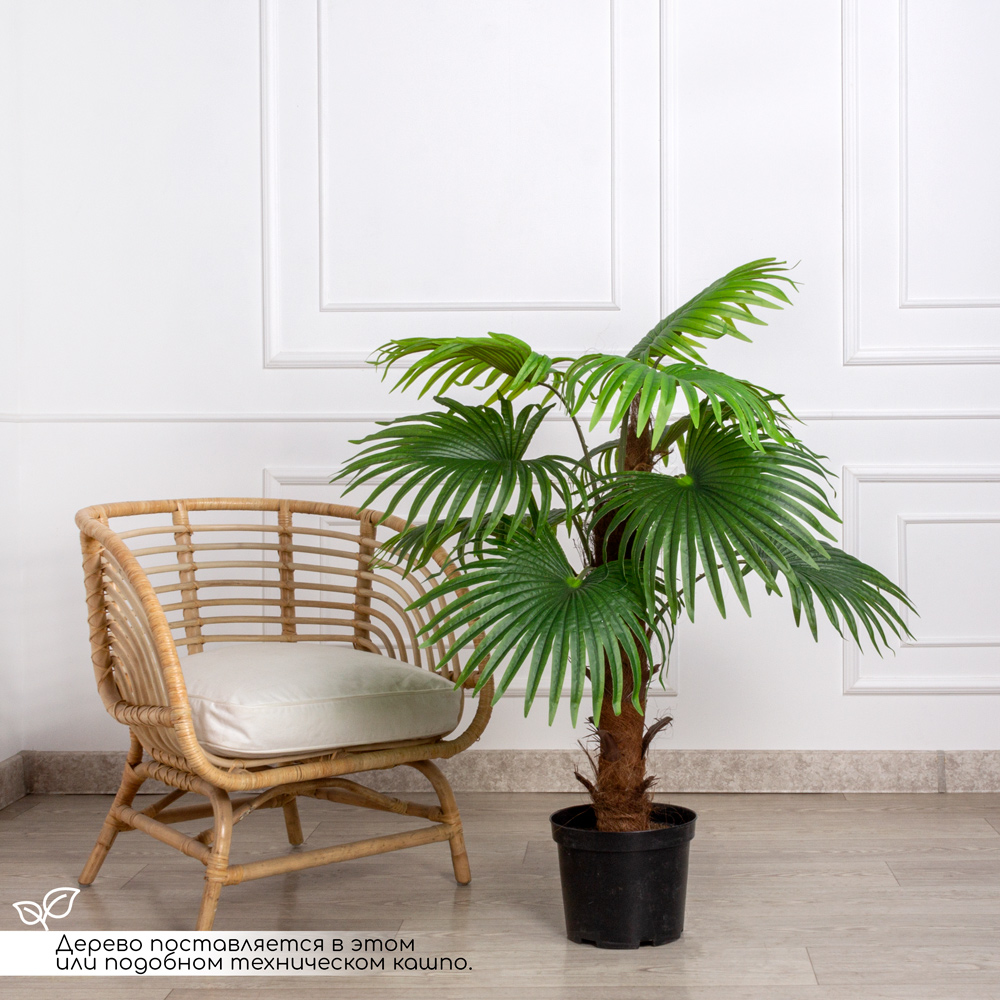 П120/404(х)(Fix)(Пр) Пальма веерная h120см (латекс)_5