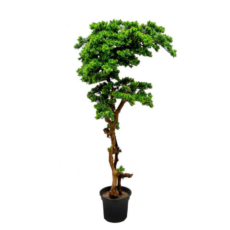 БС160/ОС/30(з) Бонсай Сосна искусственный h160см _4