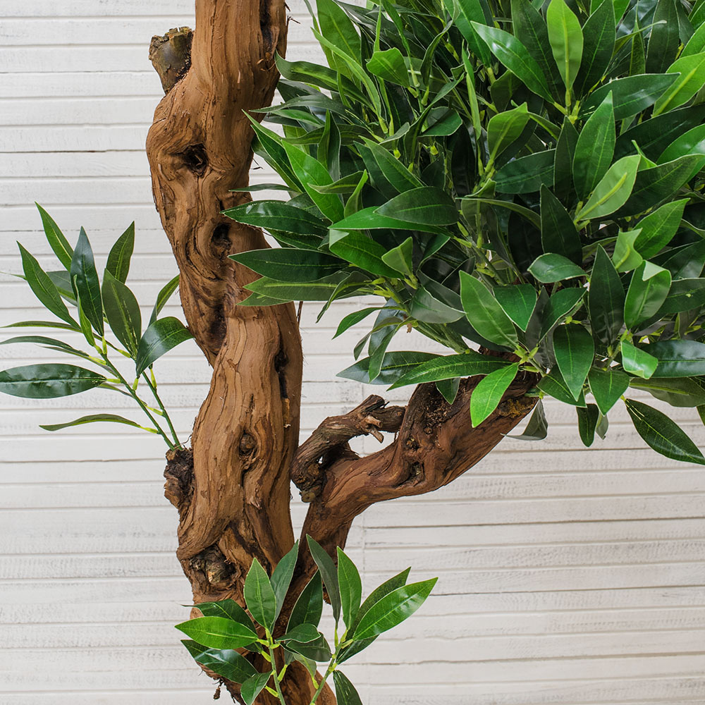 БЛ 180/ОС/2К/27М(з) Лавр (латекс) 180см_3