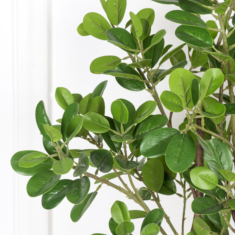 110/РН/204 Питтоспорум искусственный h110см (латекс)_2