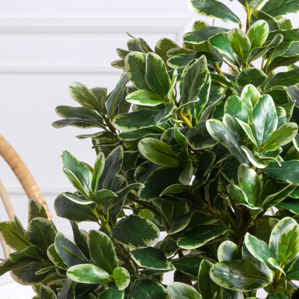 100/К/519(з)(F) Питтоспорум искусственный куст пестрый h100см_2