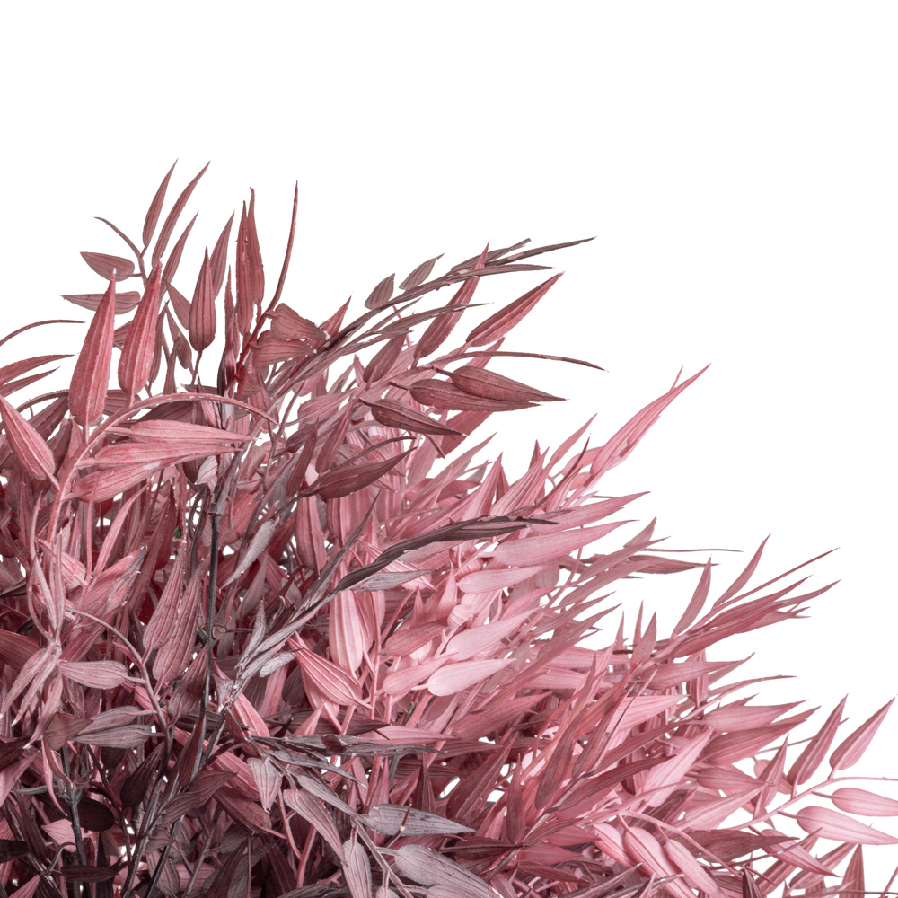 100/РН/505(з) Дерево искусственное интерьерное h100см, d85см, пепельно-розовое_2