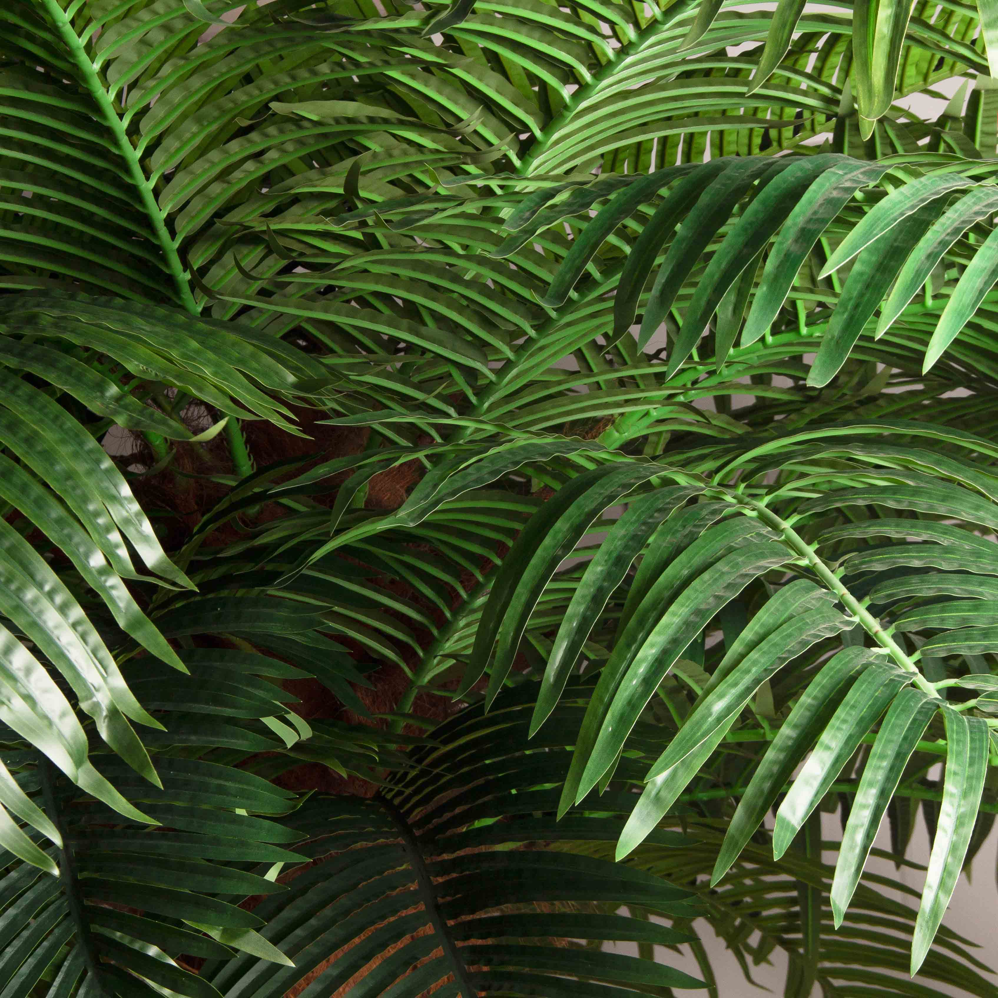 ПС500Разб/ТР/49Прем(F) Пальма Арека искусственная h500см на мет.основании_12