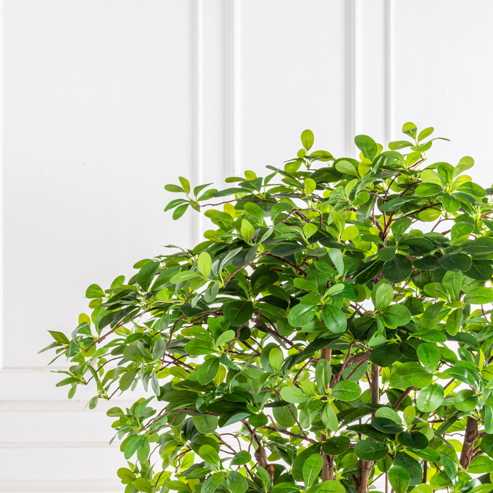 160/РН/84-1(з)(F) Шеффлера искусственная h160см d100см, латекс_5