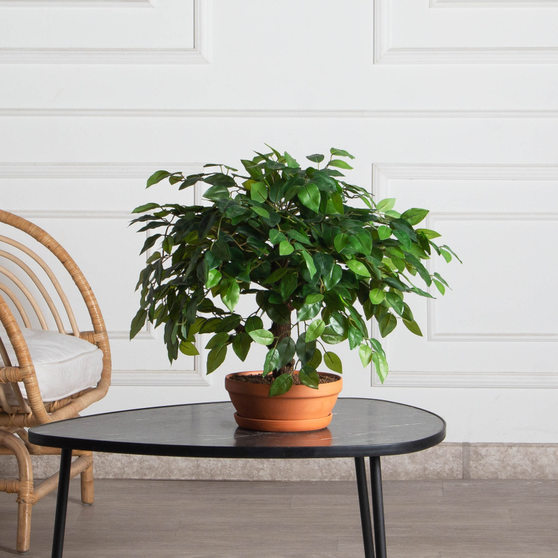 БЛ040/09МП(F) Бонсай искусственный Фикус французский h40см_1