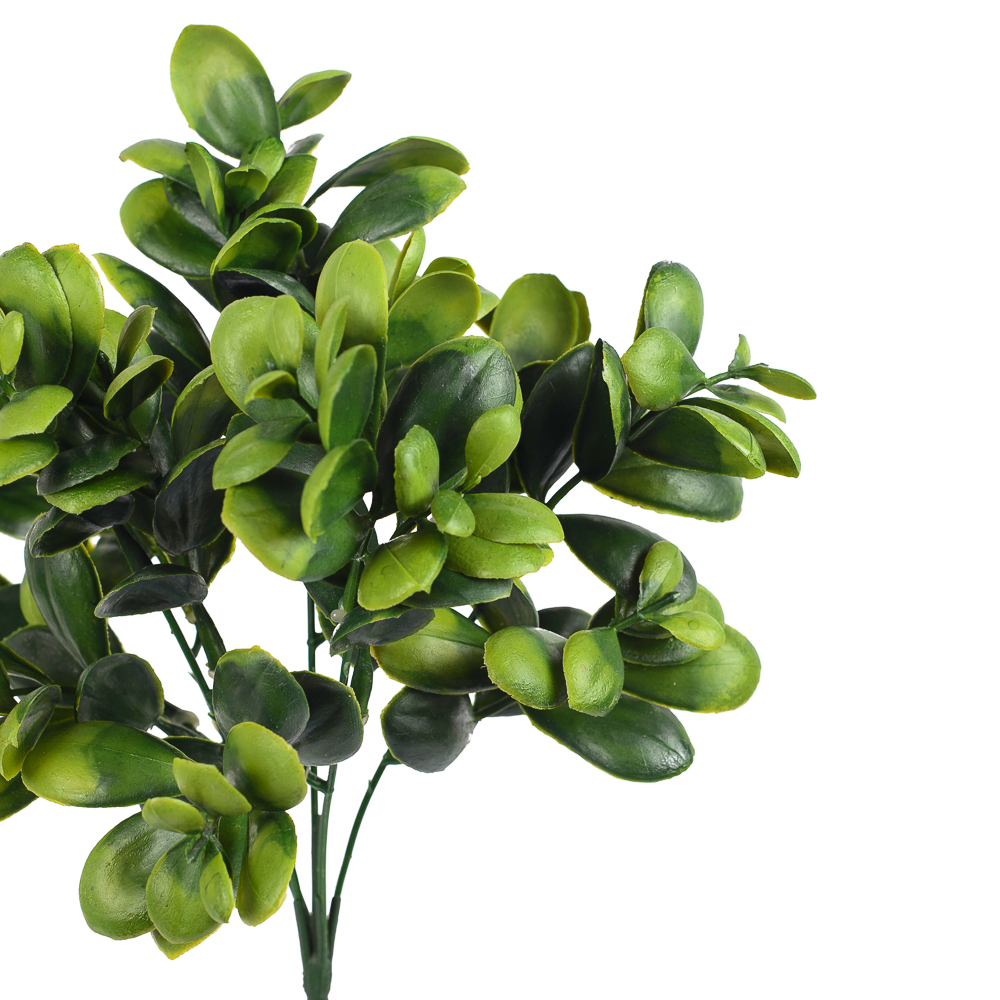 7143/0381-11 Толстянка зелёная*5 h=29см (20+9)_2