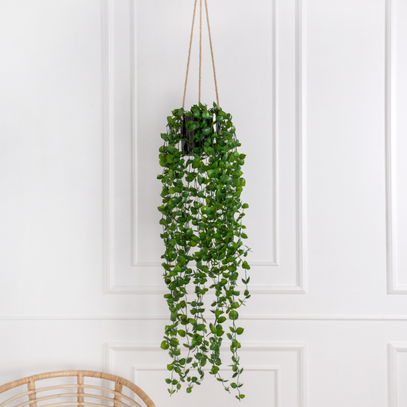 КС88/1 Самшит искусственный с ресничками ампельный в кашпо