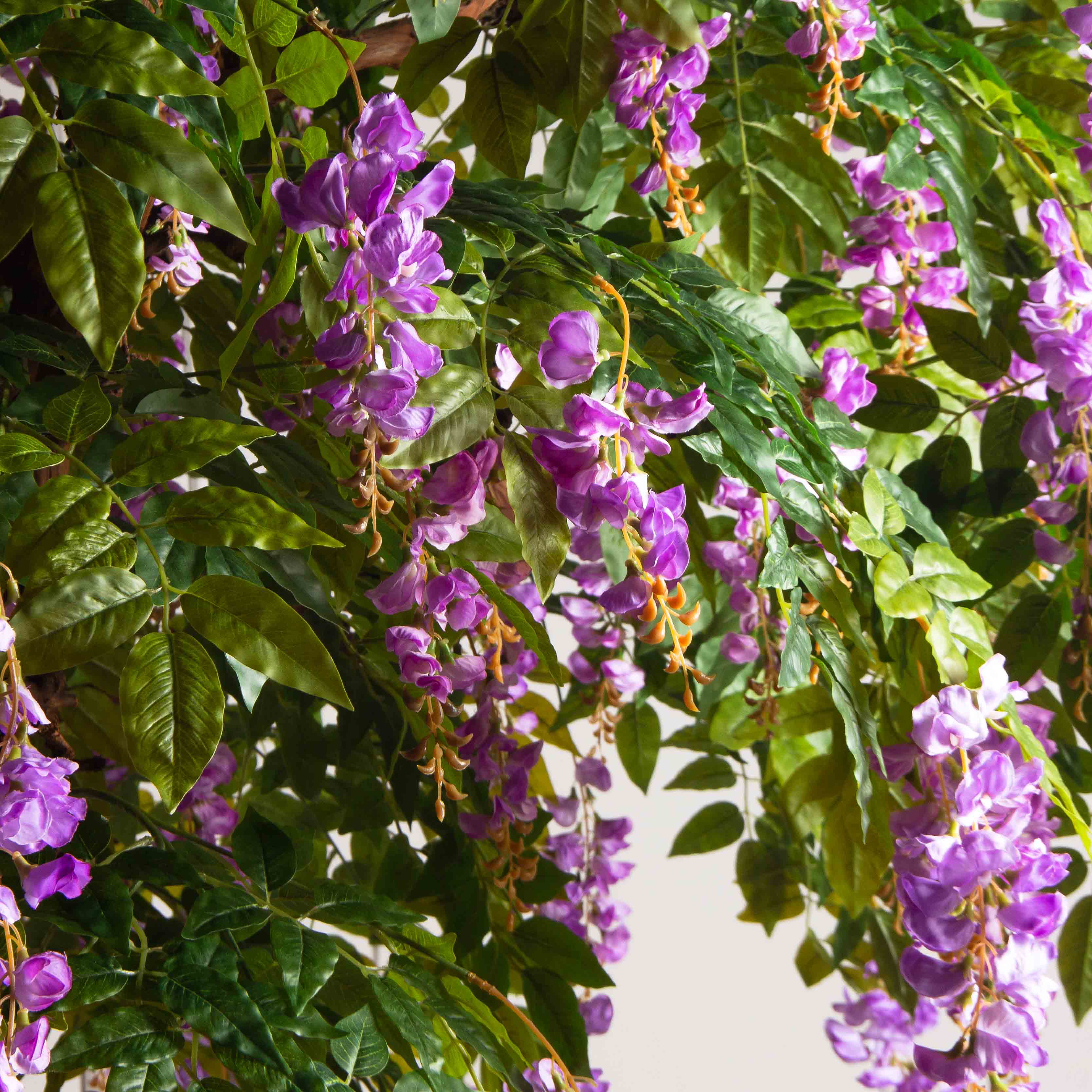 280/ОС/АСС/424-1(Пр)(F) Глициния(вистерия) искусственная h280см (латекс), сиреневая_5