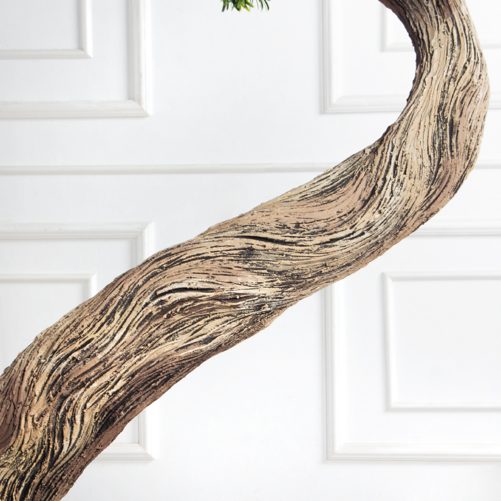 170МЕТ/АСС/241(з)(F) Подокарпус интерьерный h170 d120см_9