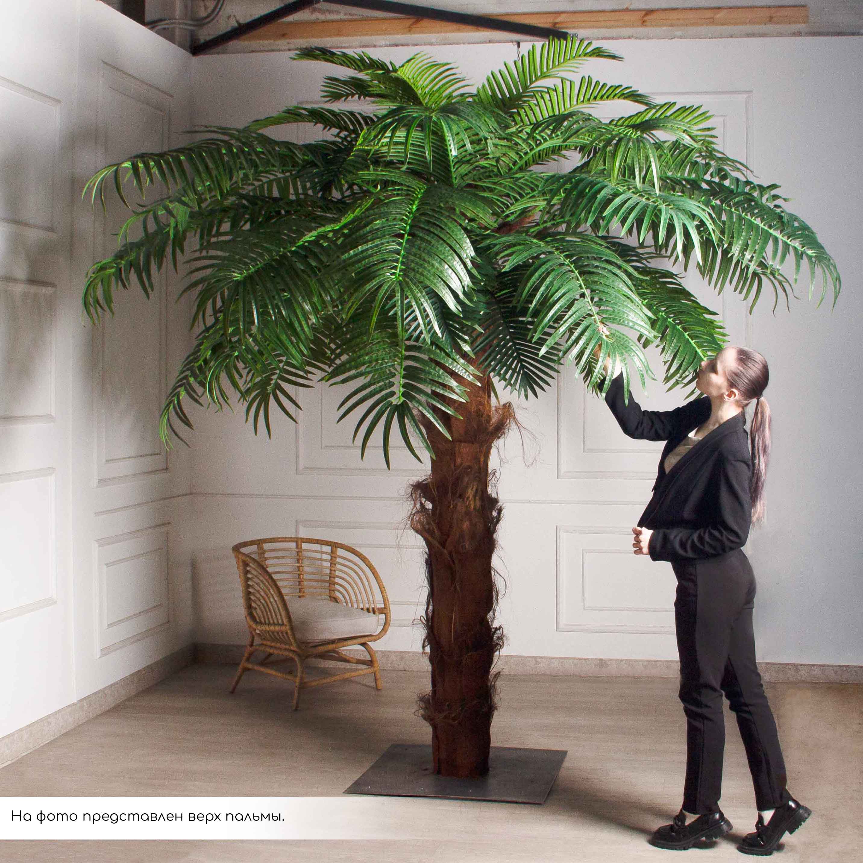 ПС500Разб/ТР/49Прем(F) Пальма Арека искусственная h500см на мет.основании_6