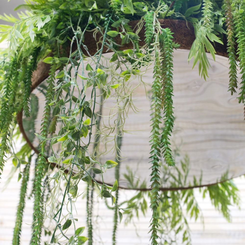 КЗ 05 Композ. из папоротников на цепях d-60 (с зеркальным дном)_2