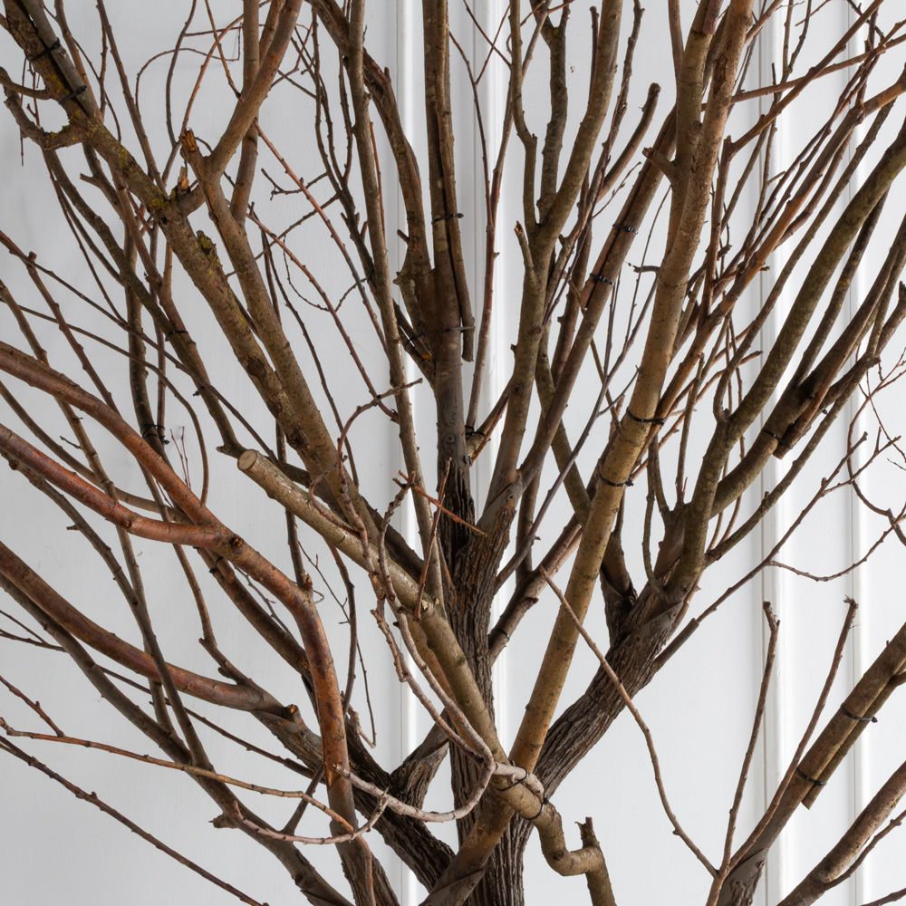 300Гбст/разб/РН(F) Дерево интерьерное с натуральными ветвями h300см d220см_12