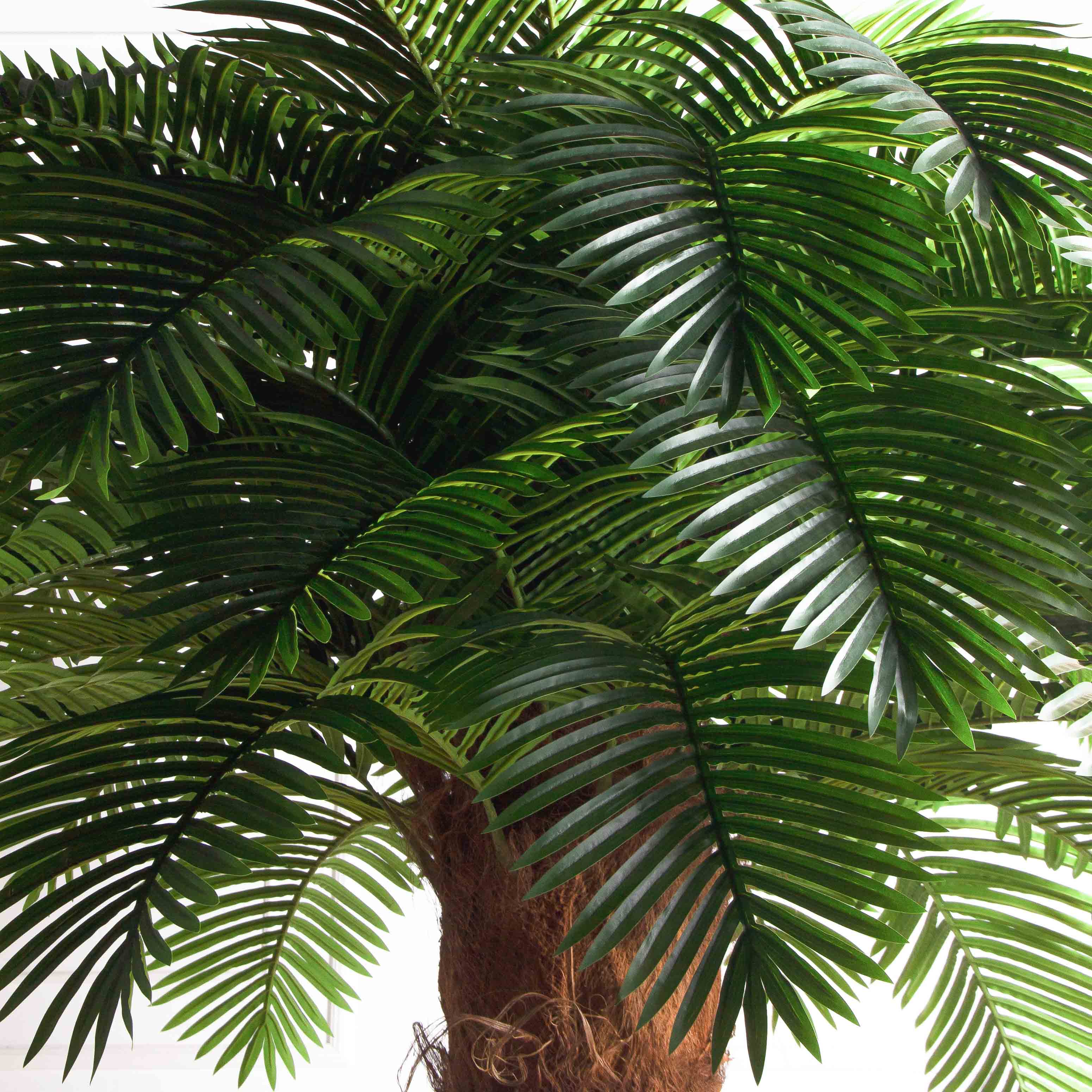 ПС350Разб/ТР/49Люкс(Пр)(F) Пальма Арека искусственная h350см (латекс) на мет.основании_14