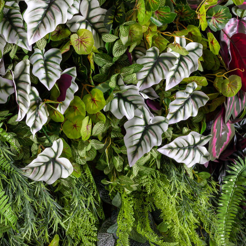 ФТС156-1 Фитостена _10