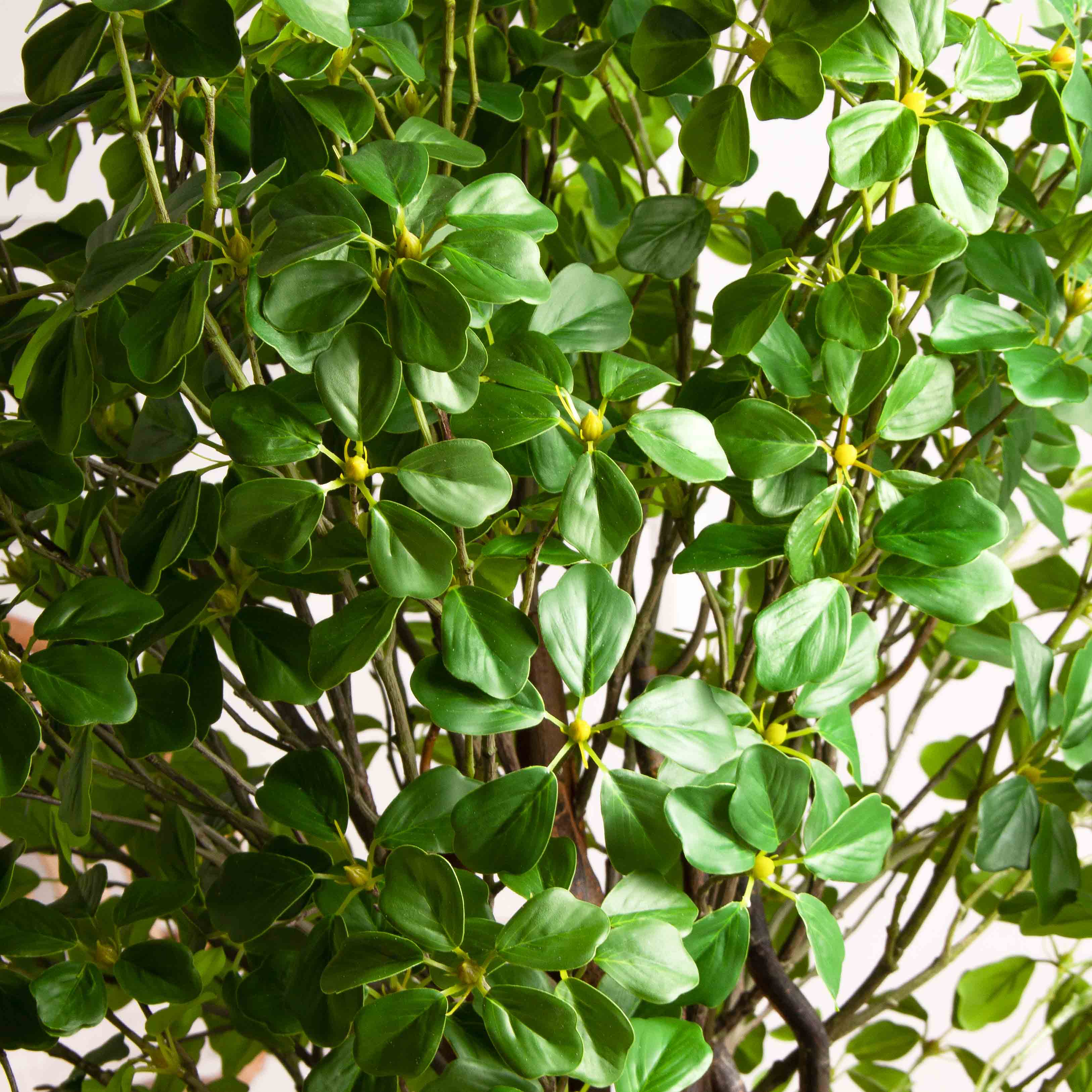 110/ВИТ/ФОН/534(з)(Пр)(F) Шеффлера искусственная Компакта  h110см, латекс_4