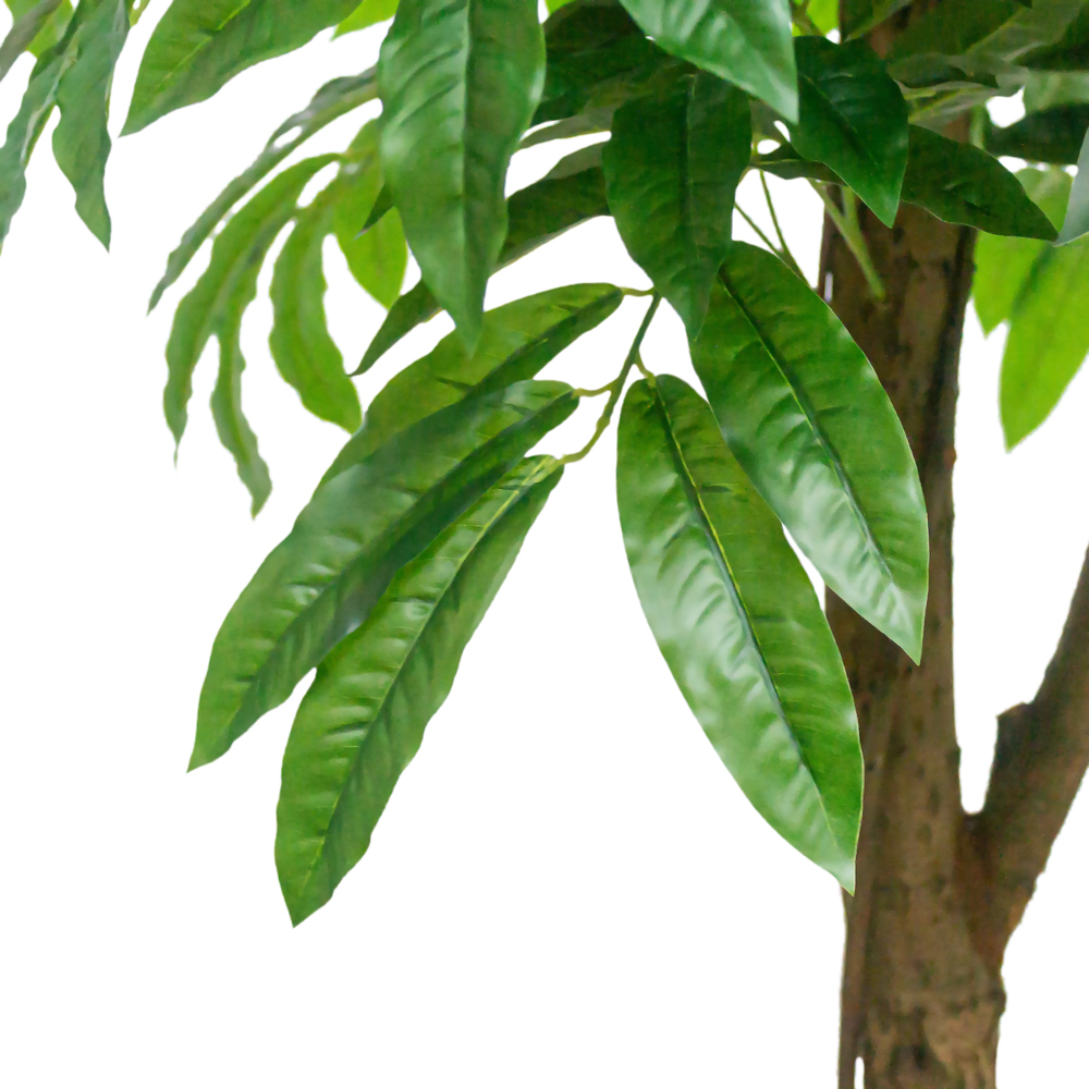 260/РН/220(з.) Дерево искусственное Манго без плодов h260см,d120,13кг_1