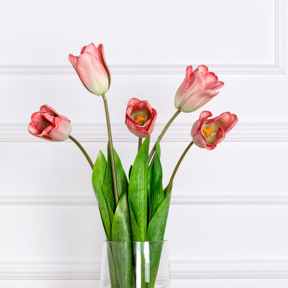 7141А/0471-01/11Р Тюльпан искусственный h70см, бело-бордовый (латекс) _1