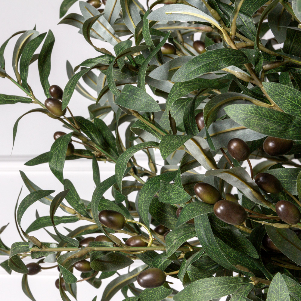 300разб/465(Promo) Оливковое дерево Премиум разборное h300см_20