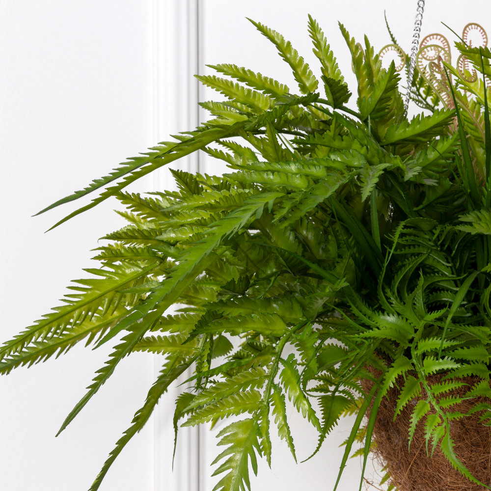 ККВ01-2(з) Коковита с большим искусственным папоротником и циртомиумом на цепях_6