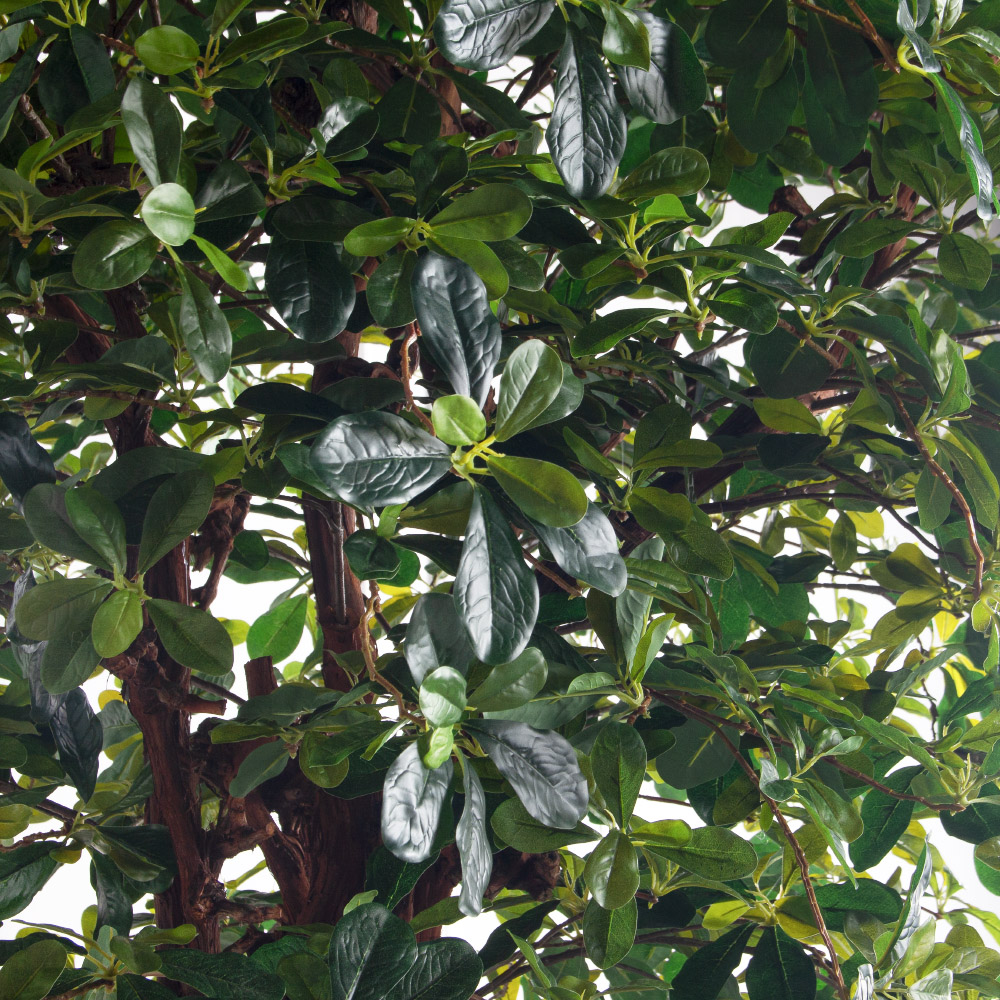 260/ОС/84(з)(F) Шеффлера искусственная h260см d130см (латекс)_5