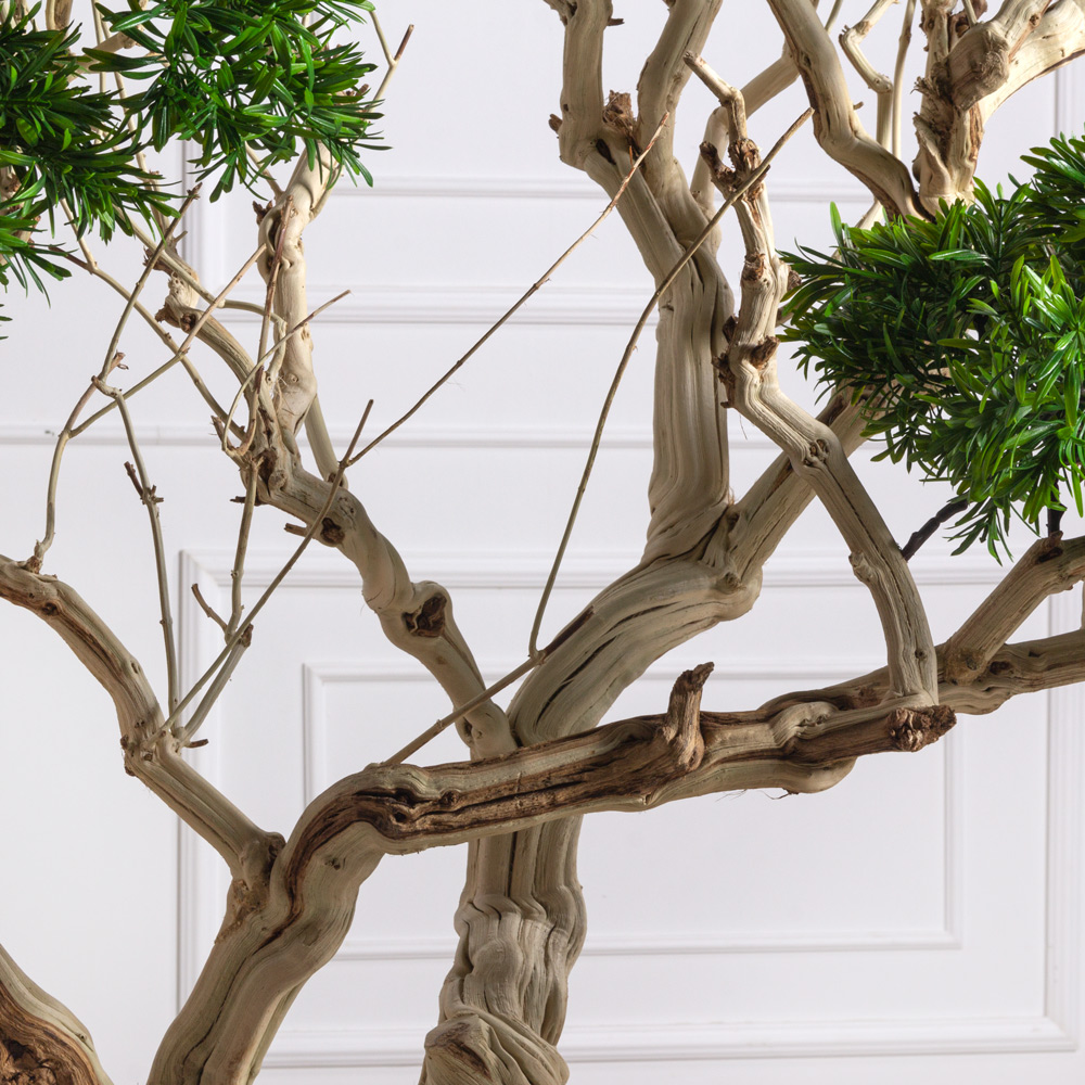 БЛ170/Д3/241 Бонсай искусственный Подокарпус h170см_3